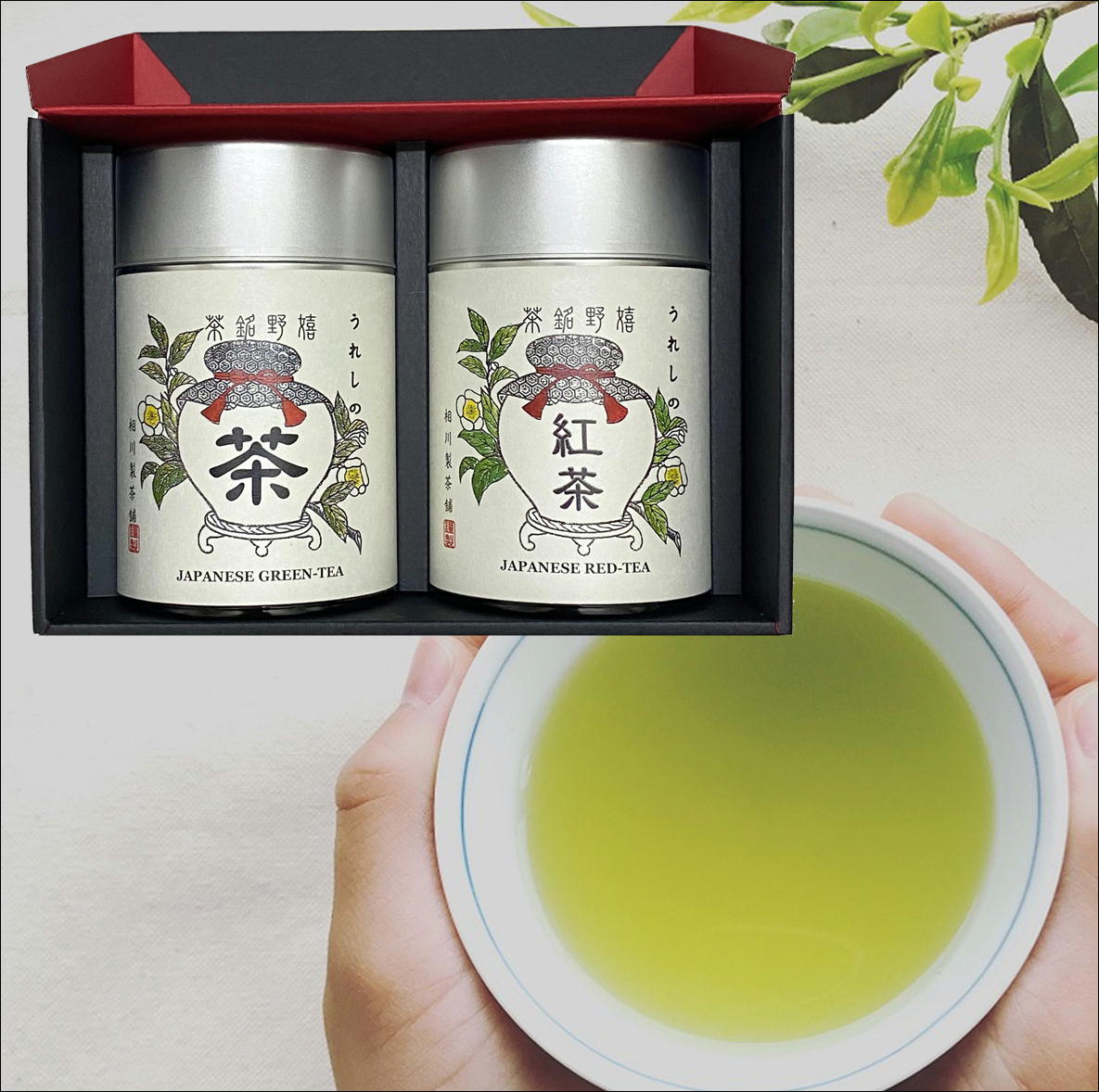嬉野茶 玉緑茶 100g ☓ 2袋 - 茶