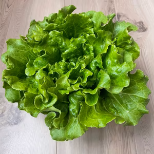 高原で育った美味タスセット（5個）