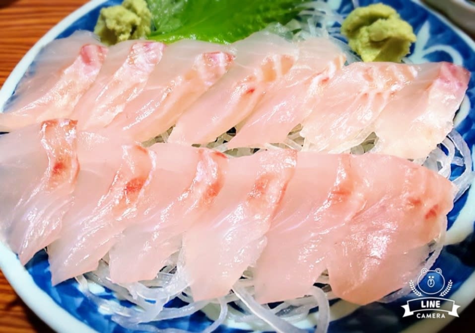 三陸磯海の特大マゾイ キツネメバル ご希望により鱗と内蔵処理致します 農家漁師から産地直送の通販 ポケットマルシェ