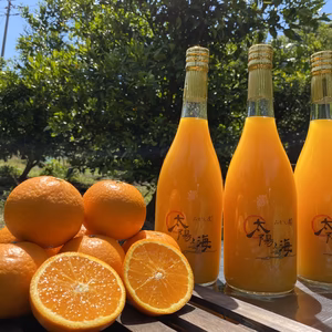 太陽と海の輝みかんジュース2本セット♪