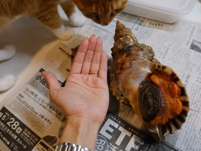 みんなの投稿の画像