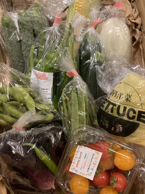 みんなの投稿の画像