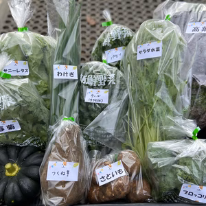 【お一人～お二人様】箱いっぱい！季節の朝採りお野菜詰め合わせ箱☆