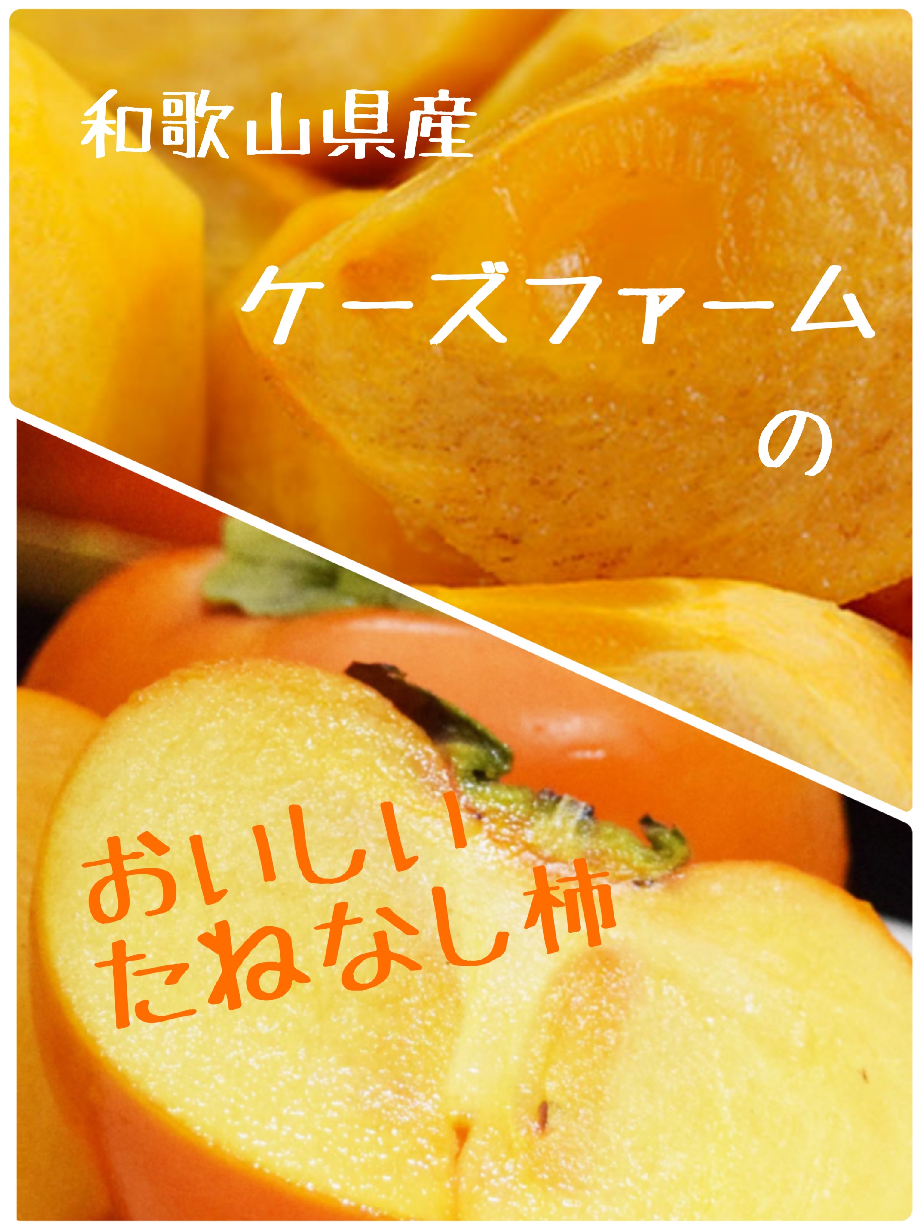 和歌山県産　美味しい　たねなし柿 5kg 硬め　5