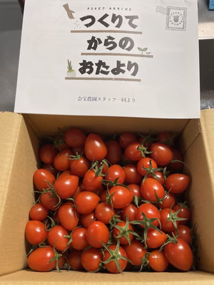 みんなの投稿の画像