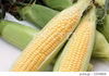 甘いともろこしキャンベラ