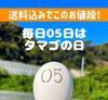 毎日05日はタマゴの日‼　11月は【国産鶏おまかせMIX】90個入‼