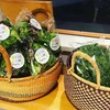 ▪️健康セット▪️えのき茸と栽培期間中農薬不使用のサラダミックス