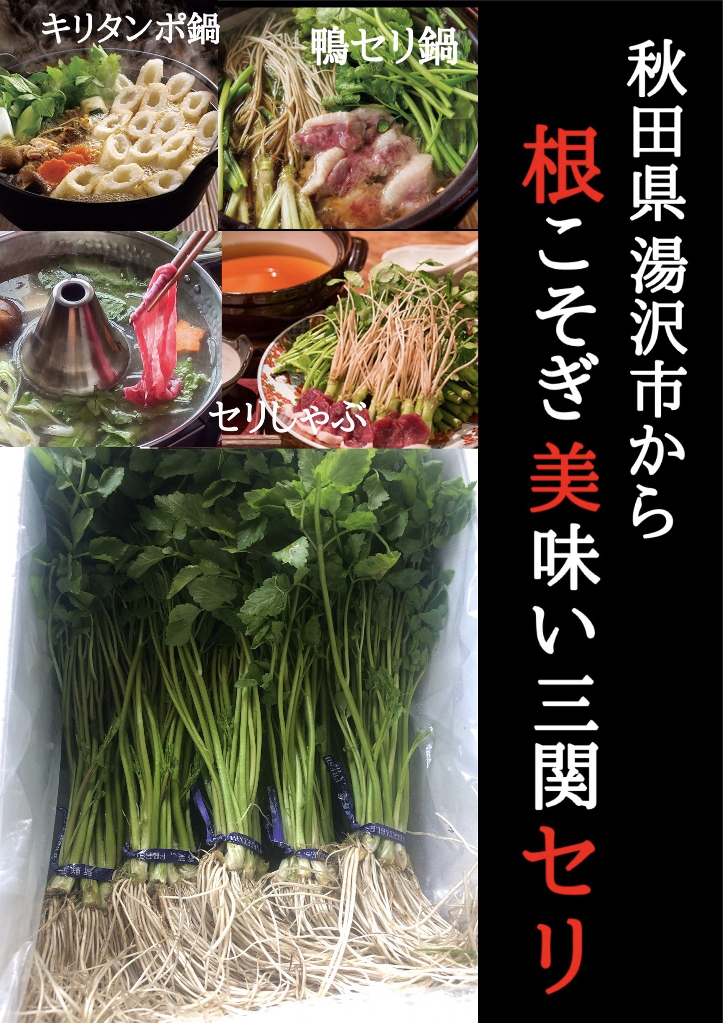 せり セリ 三関産せり 秋田県 湯沢市 鍋 きりたんぽ鍋 しゃぶしゃぶ 旬 農家漁師から産地直送の通販 ポケットマルシェ