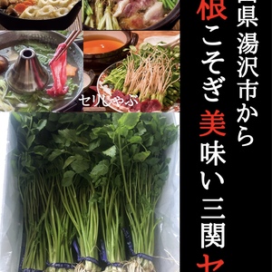 せり　セリ　三関産せり　秋田県　湯沢市　鍋　きりたんぽ鍋　しゃぶしゃぶ　旬
