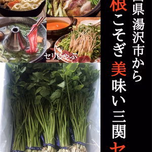 せり　セリ　三関産せり　秋田県　湯沢市　鍋　きりたんぽ鍋　しゃぶしゃぶ　旬