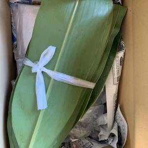 （チャレンジ商品）ムーチーセット