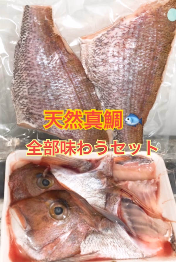 天然真鯛☆全部味わうセット　フィレ、アラに捌いてお届けします