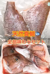 天然真鯛☆全部味わうセット　フィレ、アラに捌いてお届けします