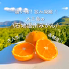 【送料無料】島の石地温州みかん☆２Lサイズご家庭用（愛媛県・大三島産)５キロ２箱