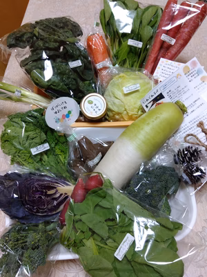 みんなの投稿の画像