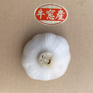 日本で一番早く生ニンニクを食べたい方限定　岡山県牛窓産　まるむの生ニンニク