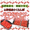 朝採り当日発送☆美味しいさくらんぼをさくらんぼ農家がセレクト！品種おまかせコース