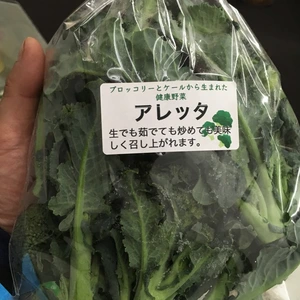 お試しサイズ【栄養満点な新しい野菜】アレッタ（400g）