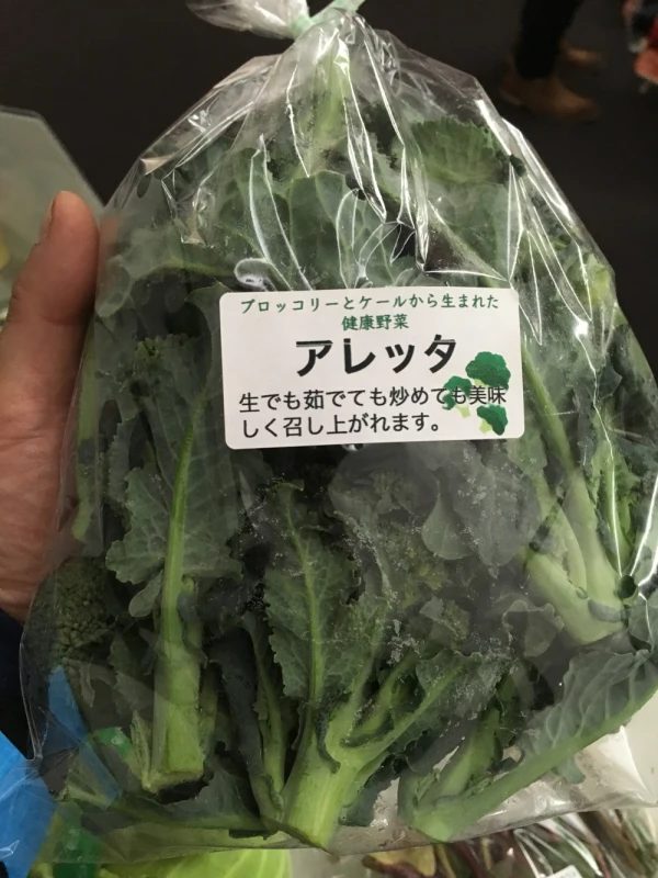 お試しサイズ【栄養満点な新しい野菜】アレッタ（400g）