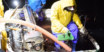 海苔の◯◯番摘みの違い、知ってますか？