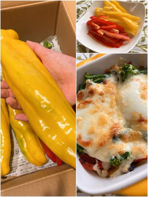 みんなの投稿の画像