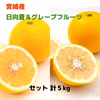 【宮崎産】日向夏＆国産グレープフルーツ３玉セット(5kg）
