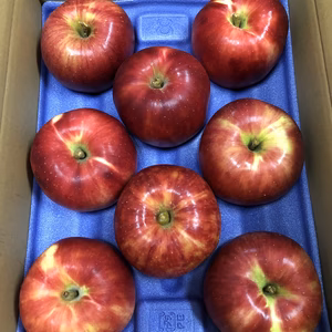 飛騨りんご（つがる）