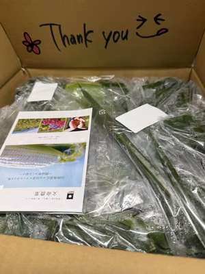 みんなの投稿の画像