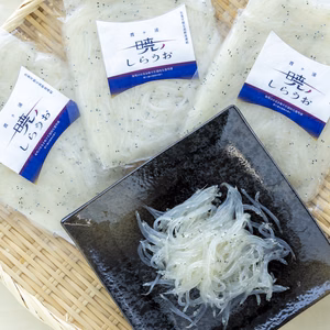 生食「霞ヶ浦産　暁のしらうお」暁の光を映して船上のしらうおは美しく透き通る・・・