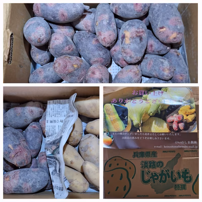 みんなの投稿の画像