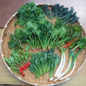 【お試しBOX】Sサイズ約(5～7品)