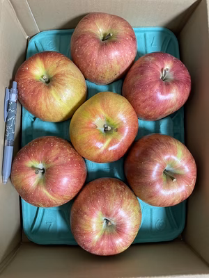 みんなの投稿の画像