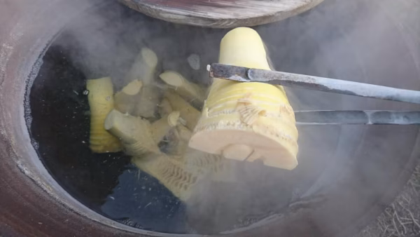 大釜湯がきたけのこ（1.5kg・クール便)