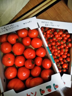 みんなの投稿の画像