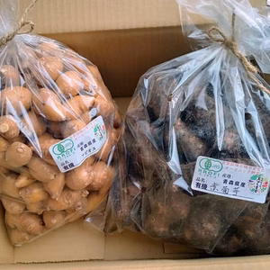 【期間限定商品】話題の健康野菜『菊芋＆アピオス』の免疫力UPセット