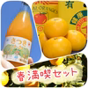 【お試しBOX】●春満喫セット★さつき八朔ジュース&さつき八朔（樹上超熟八朔）