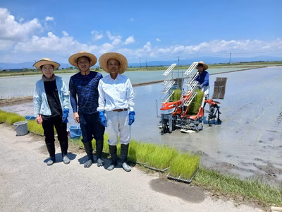 みんなの投稿の画像