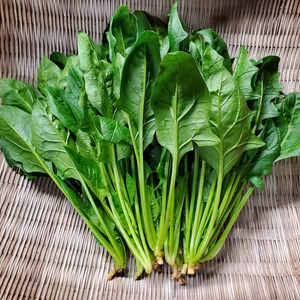 串﨑農園おまかせ野菜セット　(常温便)