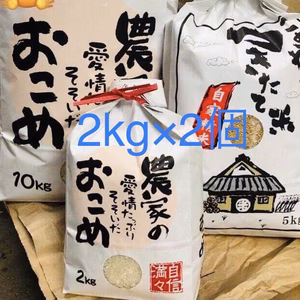 【令和6年産】ひとめぼれ精米2ｋｇ*2個