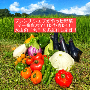 【おうちごはんが楽しくなる】採れたて夏野菜と大山じゃが芋のセット７品目