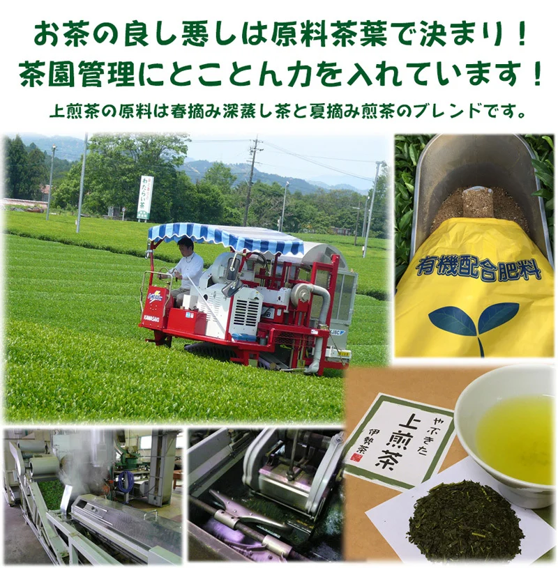 外宮奉納茶葉◎全国第3位◎伊勢特上茶100g入り3袋