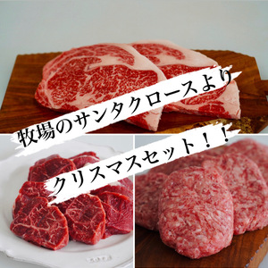 3000円もお買い得！【牧場のサンタより】お得なクリスマスセット