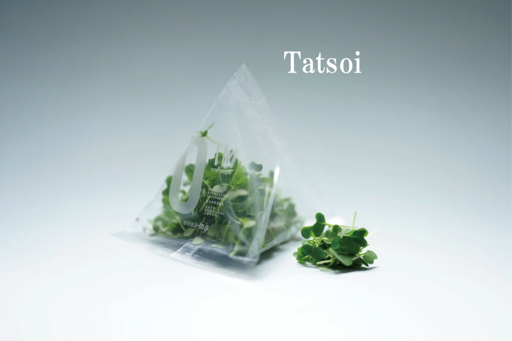 【ターサイ】マイクログリーン(7ｇ)