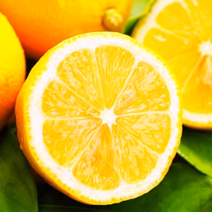 ぎゅっと濃厚キレ酸味！和歌山産リスボンレモン【ノー防腐剤ワックス】