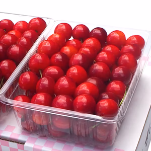 【減農薬】朝採り★特秀さくらんぼ 佐藤錦 山形県 500g〜 ギフトにも