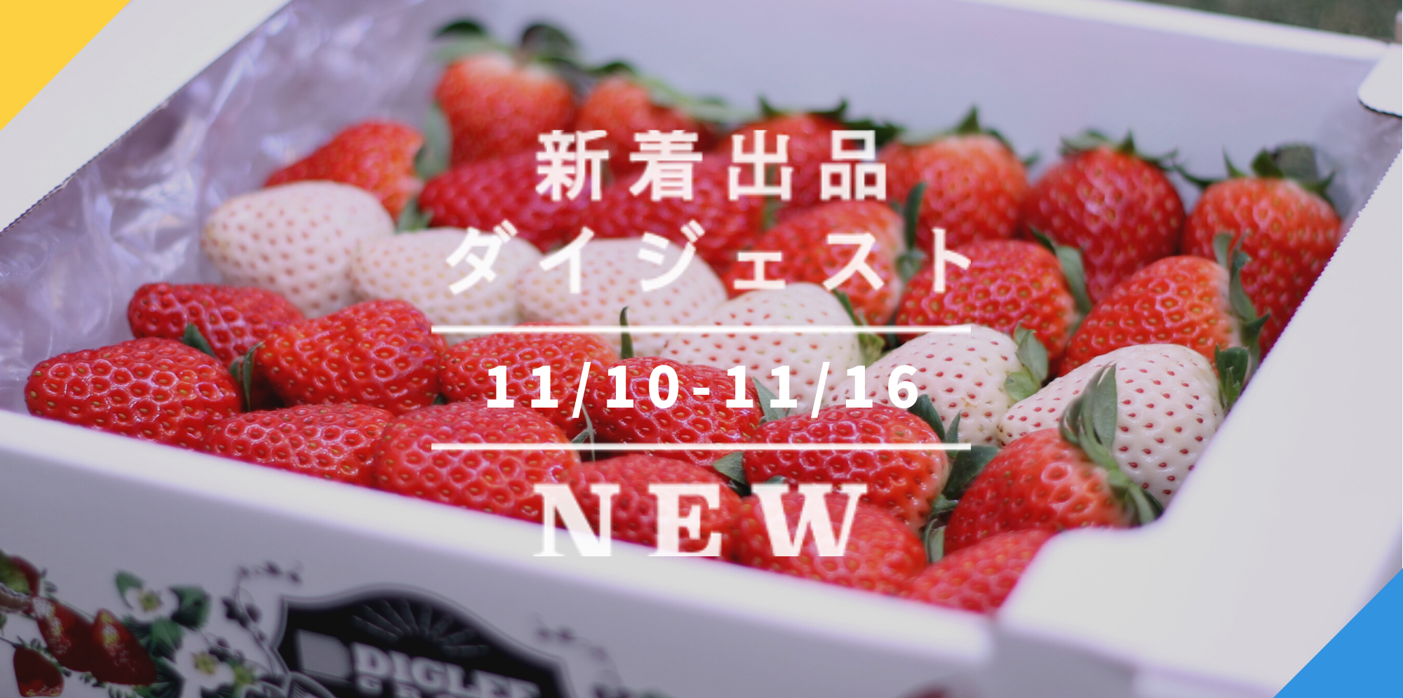 イチゴ様