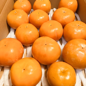 最終販売‼️ 富有柿一段箱いっぱい‼️