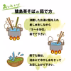 【おすすめ】猿島茶そばとほうじ茶うどんセット 松田製茶 猿島茶 FOD-028