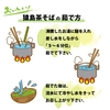 猿島茶そばとほうじ茶うどんセット　松田製茶　猿島茶　はじめて輸出されたお茶